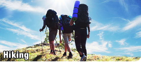 Group of Recreational Hikers, Hiking up a Mountian Trail